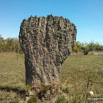 Thumb for Reynolds River Road